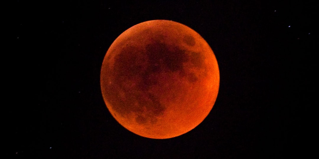Вот как посмотреть «Суперцветочную кровавую луну» на следующей неделе