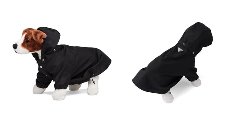 Dachshund sales advert raincoat