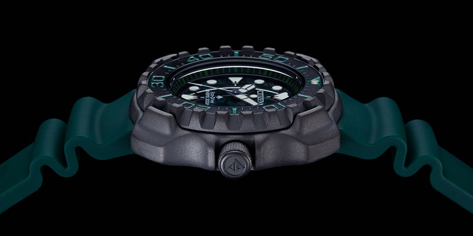 citizen promaster diver titanium 2018