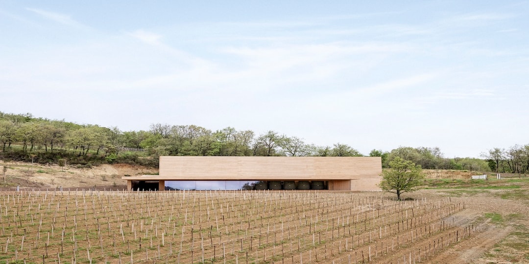 Этот архитектор встряхивает классические образы виноградников