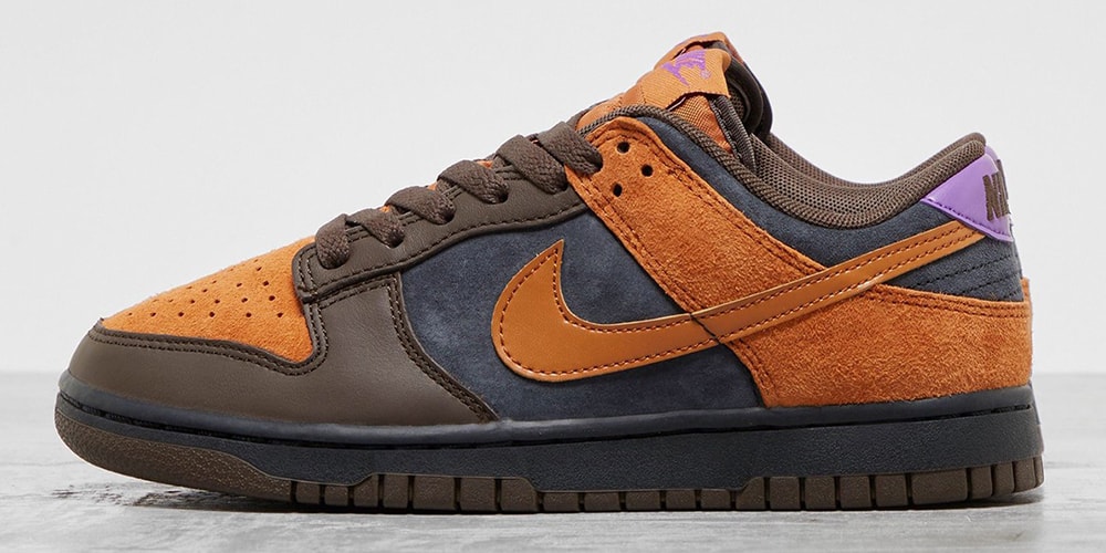 Кроссовки Nike Dunk Low Surfaces в осеннем цвете: смесь Cinder/Dark Chocolate/Wild Berry/Off Noir