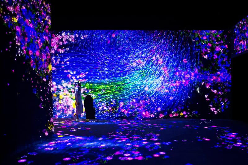 teamLab New Exhibition in San Francisco | Hypebeast