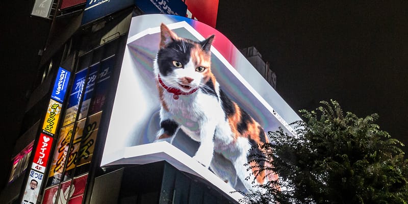 Shinjuku Tokyo Giant Kyodai Neko 3D Cat 4K Billboard | Hypebeast