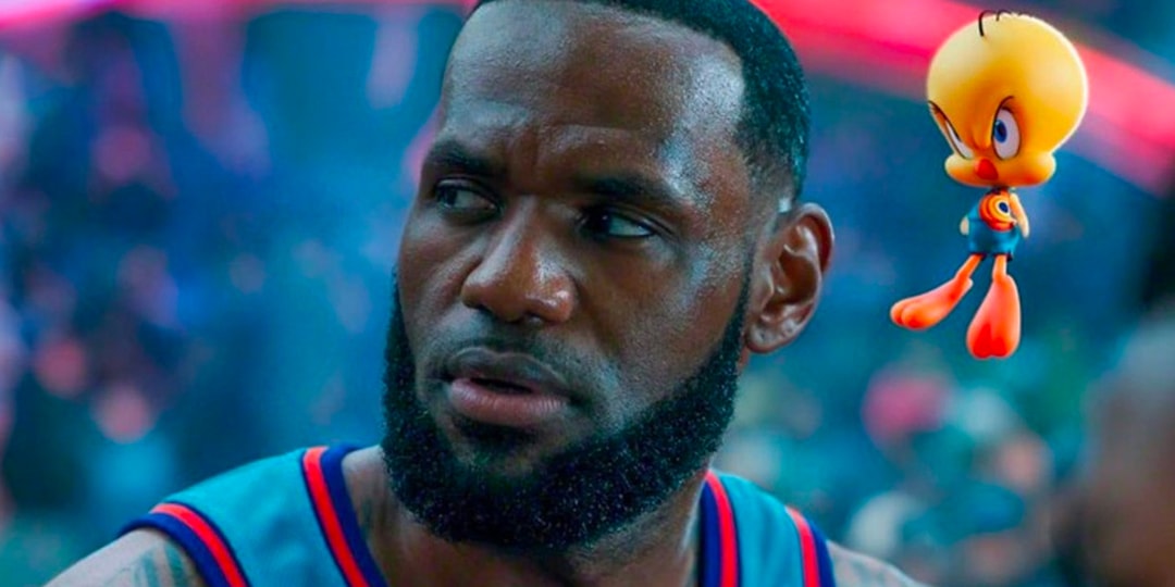 basket lebron space jam