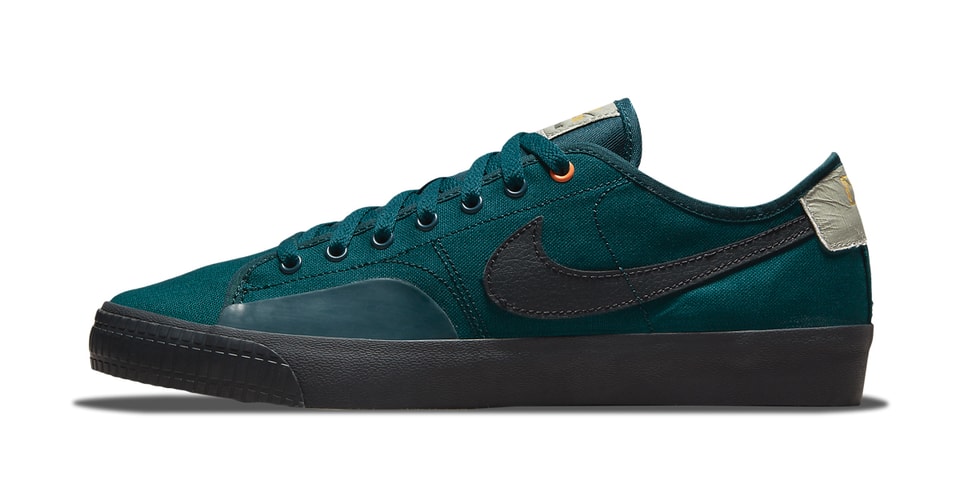 nike sb blzr court daan van der linden