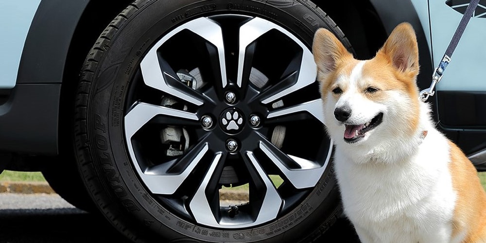 Honda Japan Shiba Inu Corgi Car Accessories News | Hypebeast