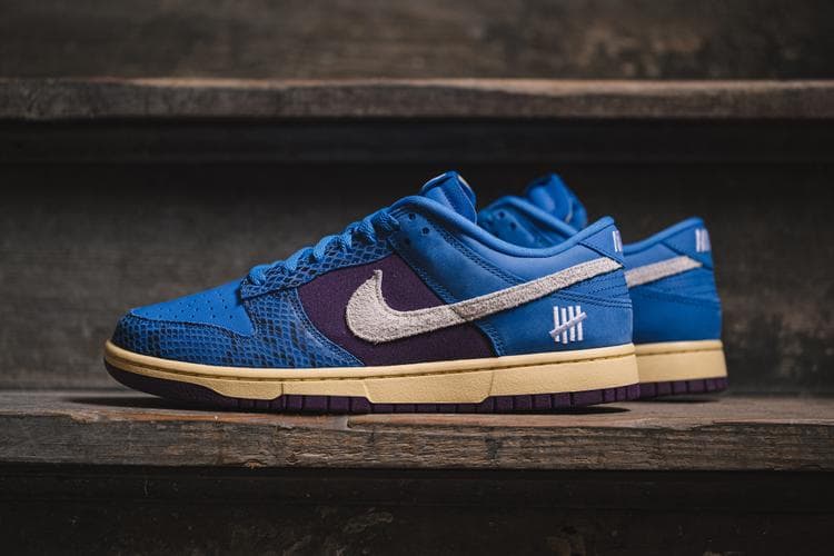 undefeated 5 on it dunk on feet