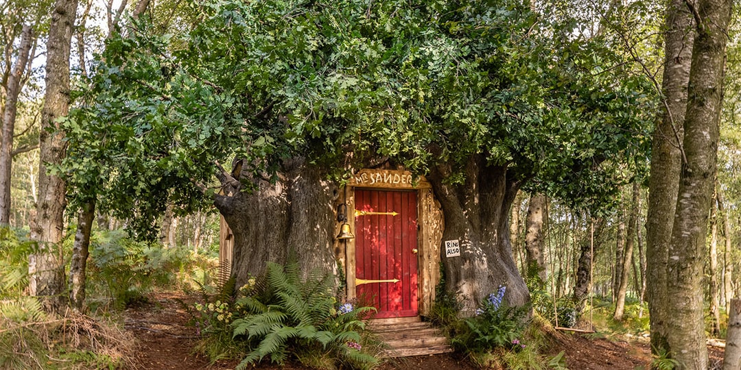 Disney и Airbnb объединились, чтобы воссоздать стоакровый лес из «Винни-Пуха»