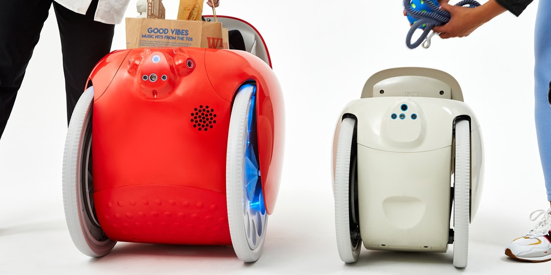 Этот миниатюрный робот создан, чтобы помогать вам носить продукты и выполнять поручения