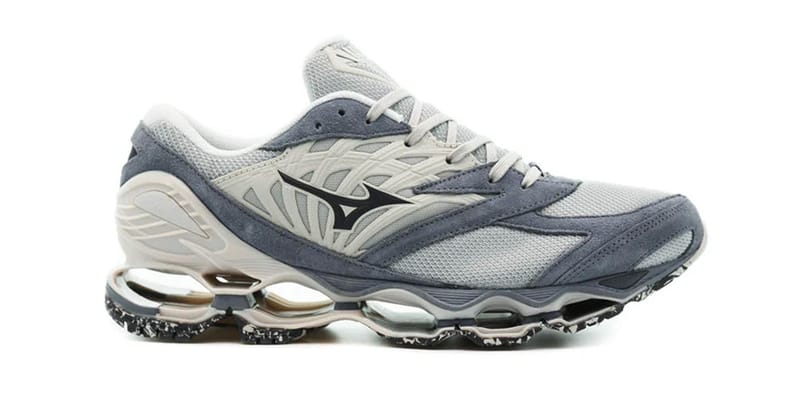 Mizuno's Wave Prophecy and Mujin 