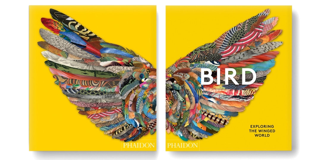 Файдон опишет культурную историю птиц в новой художественной книге