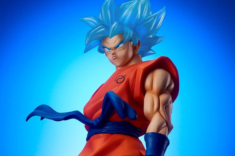 Goku's transformation into a god - wide 1