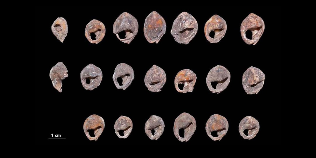 Археологи нашли самые древние ювелирные изделия в истории