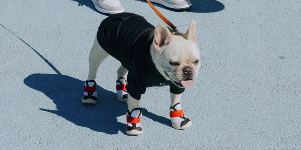 RIFRUF представляет премиальные кроссовки Caesar 1S для собак сезона осень-зима 21