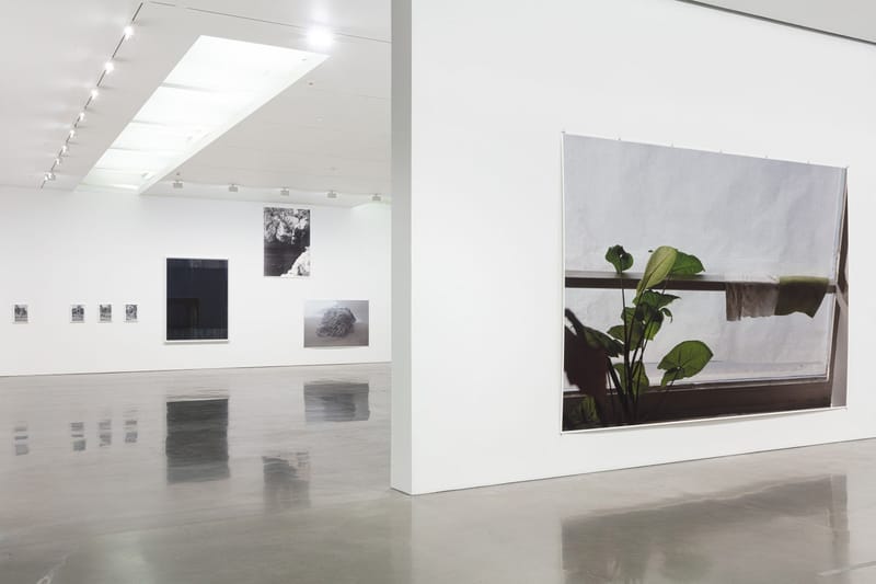 Wolfgang Tillmans 