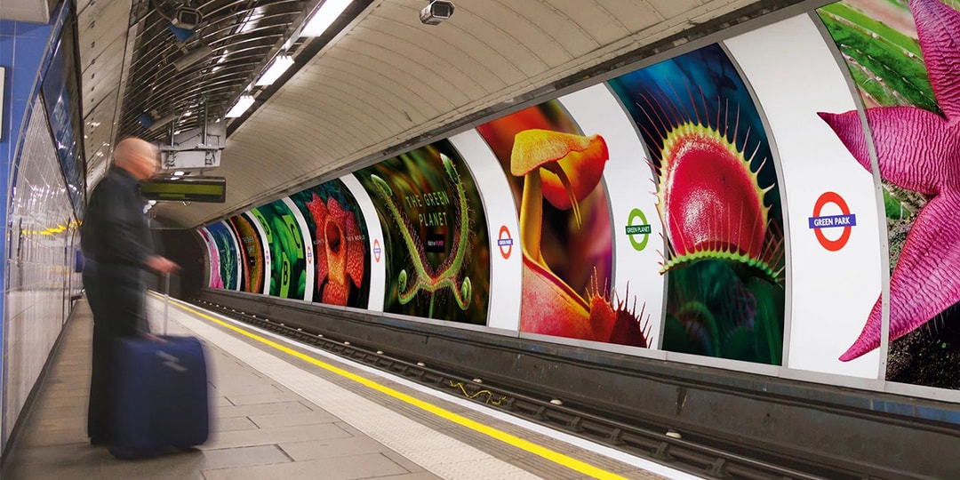 BBC Creative превращает станцию ​​лондонского метро в «Зеленую планету»