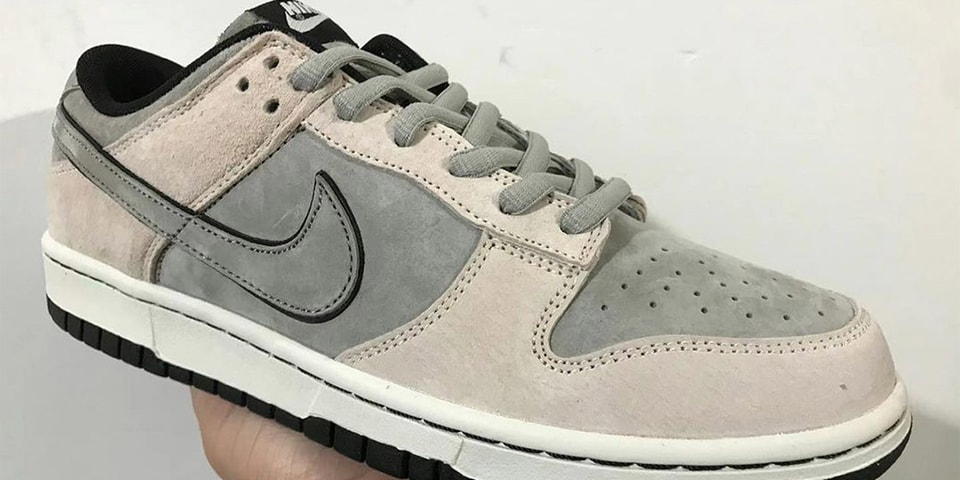 Check Out the Upcoming Minimalist Nike Dunk Low | HYPEBEAST