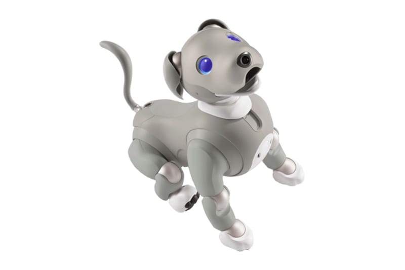 Aibo robot on sale dog amazon