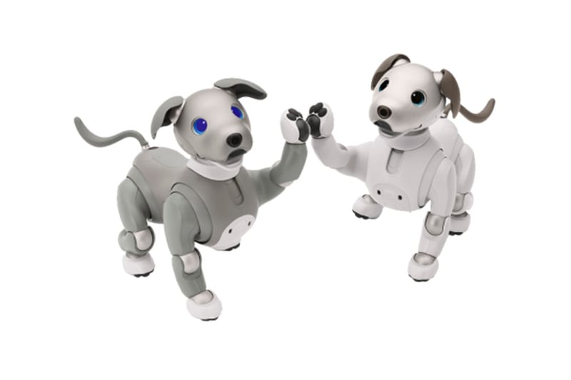 Dog store robot aibo