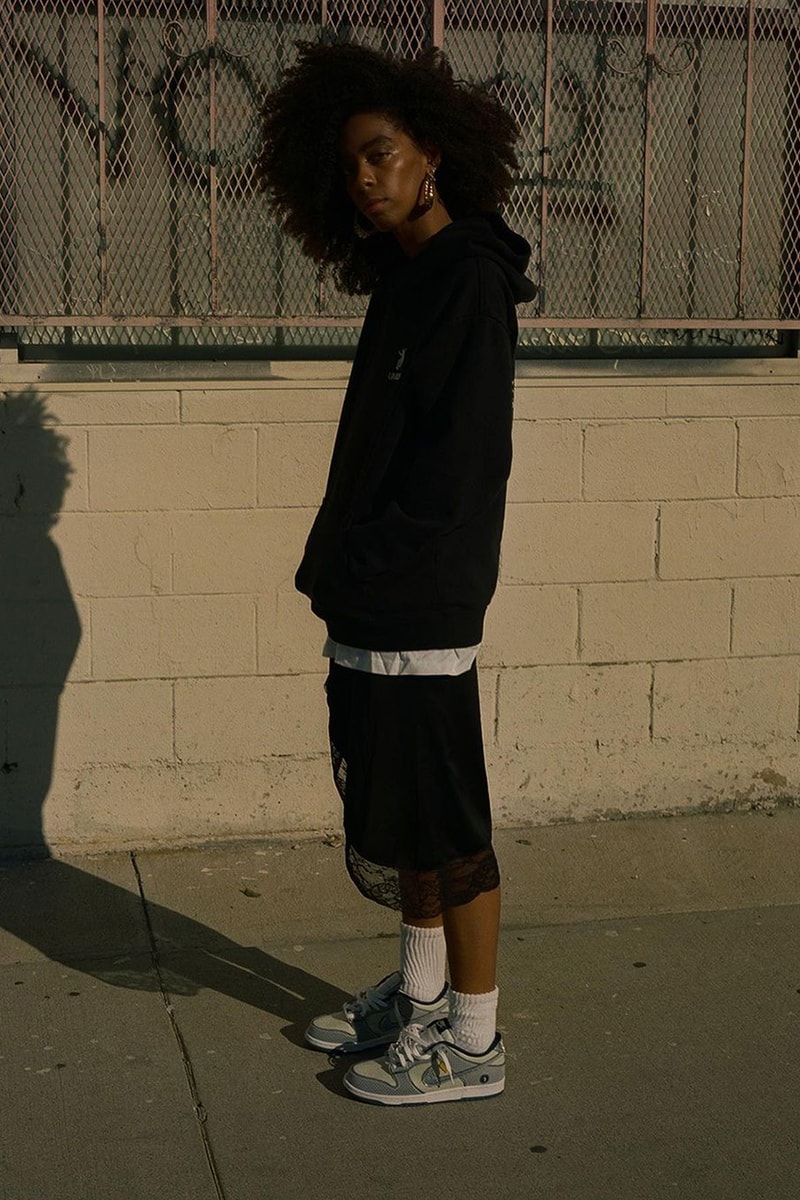 Union Nike Dunk Low Passport Pack Pistachio DJ9649401 Hypebeast