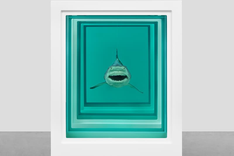 Damien Hirst Natural History Exhibition Gagosian | Hypebeast