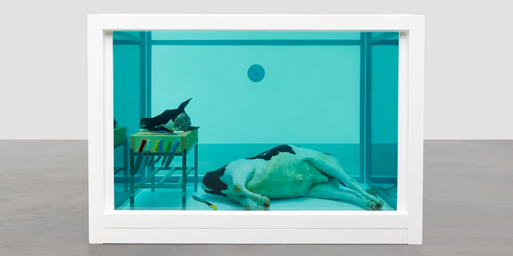 Damien Hirst Natural History Exhibition Gagosian | Hypebeast