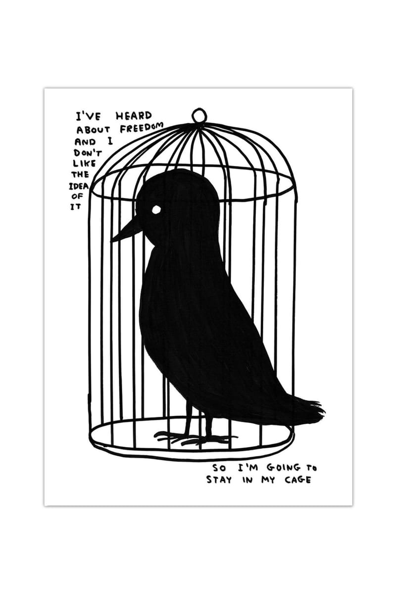 アート・デザイン・音楽 The Essential David Shrigley Especially tonight! David Shrigley 'No One Is Happier Than