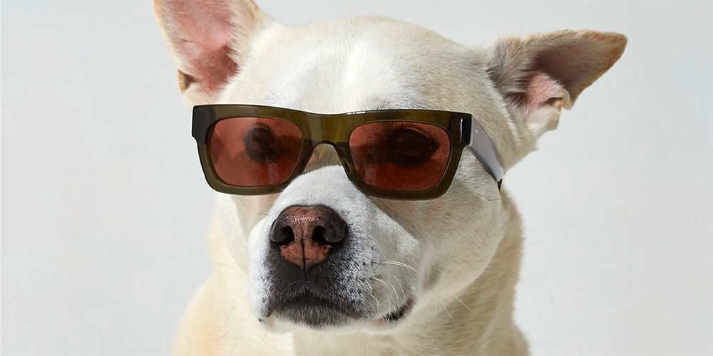 Goodhood и Sun Buddies представляют трехцветные солнцезащитные очки «Грета»