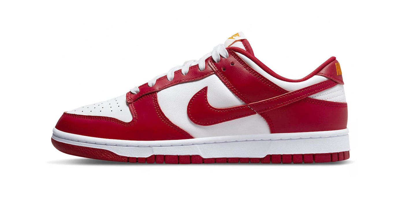 Nike Dunk Low Surfaces in 
