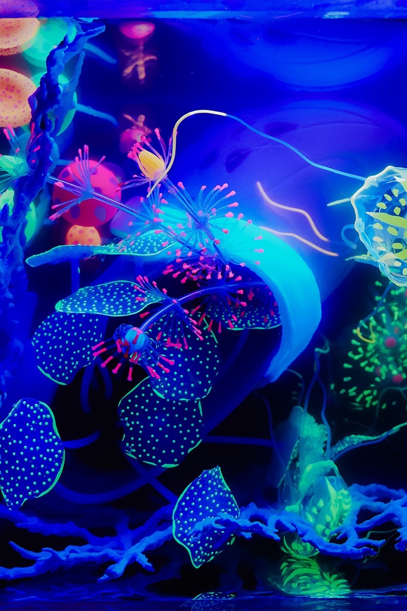 suicoke mok injection