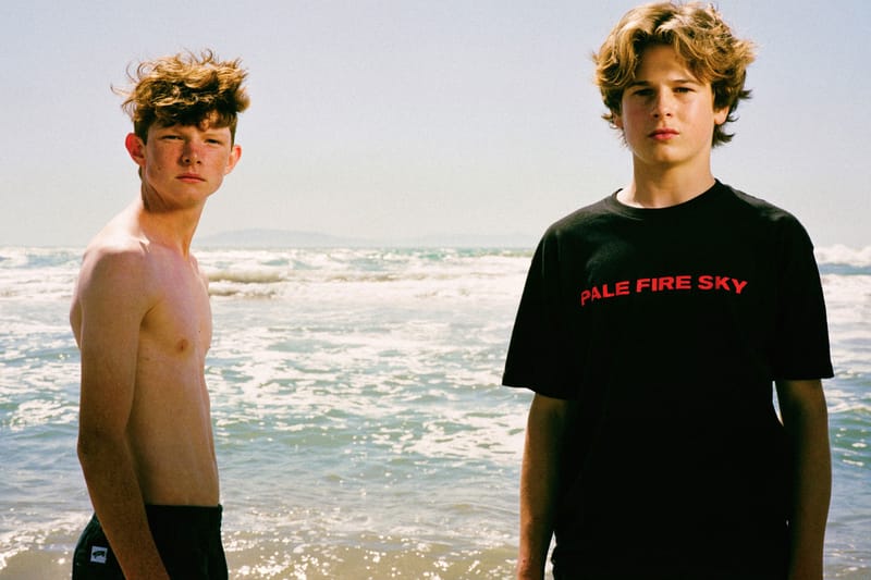 中古】VANS PALE FIRE SKY JULIAN KLINCEWICS