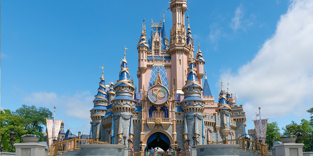 Disney предлагает поездку на частном самолете стоимостью 110 000 долларов США в каждый парк Диснея в мире