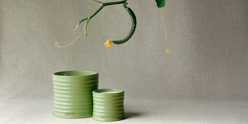 Loewe-Unveils-New-Cucumber-