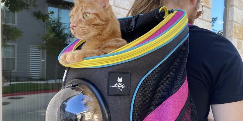 Stray' Taps Travel Cat for Special Edition Cat Backpack | Hypebeast