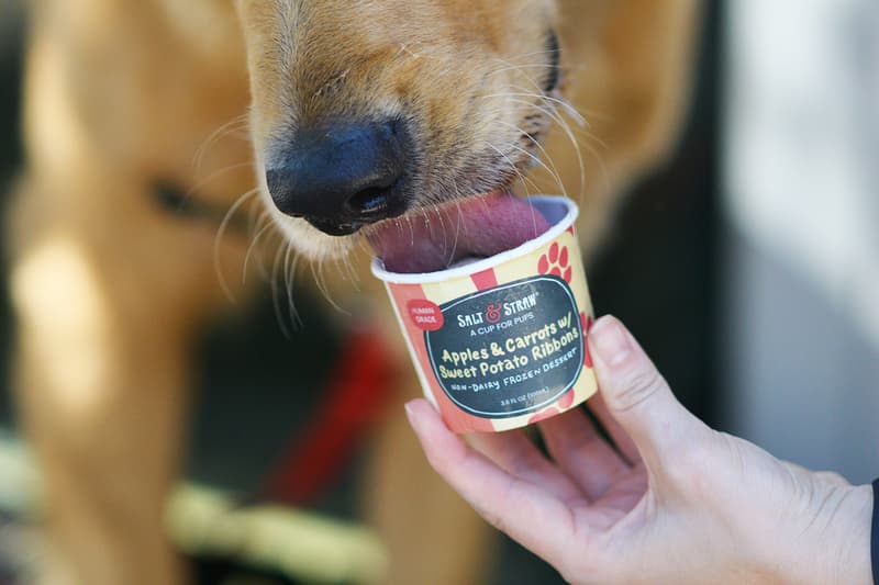 Salt & Straw Ice Cream Pup Cups Release HYPEBEAST