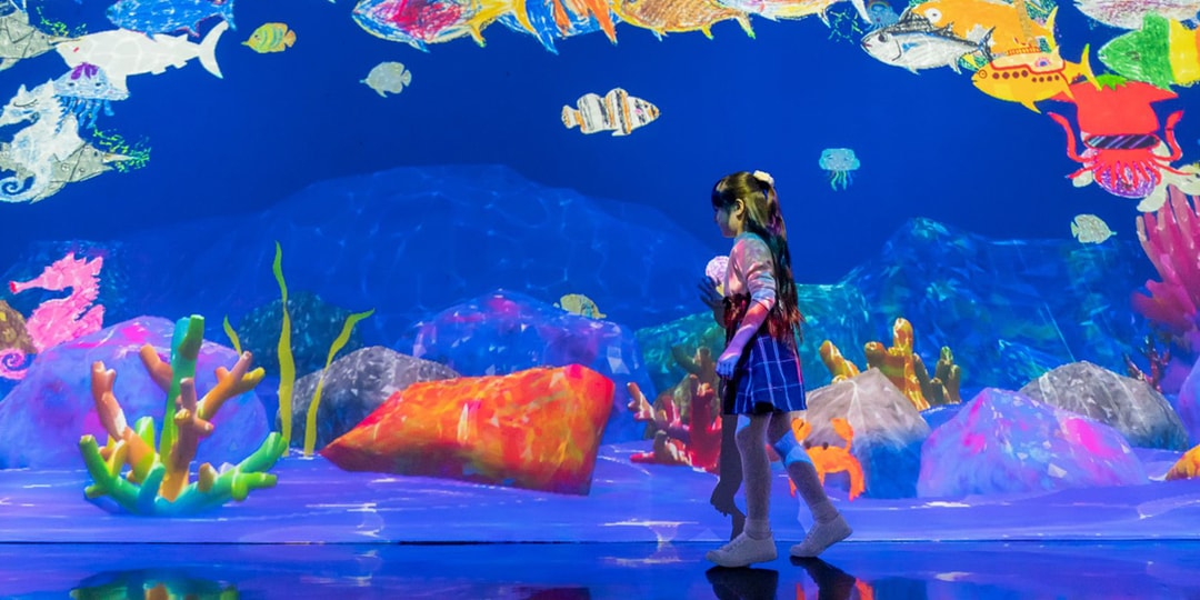TeamLab подарит цифровой аквариум Художественному музею Ньюарка