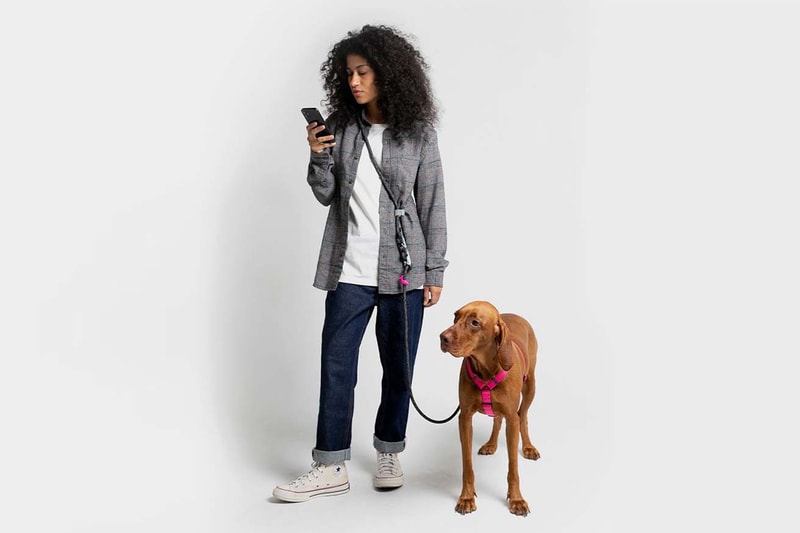 STAPLE and Zee.Dog Collab for Dog Friendly Items Hypebeast