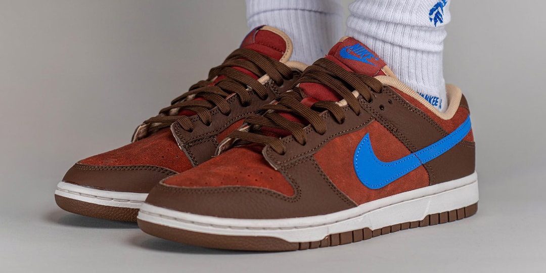 Взгляните пешком на Nike Dunk Low «Mars Stone»