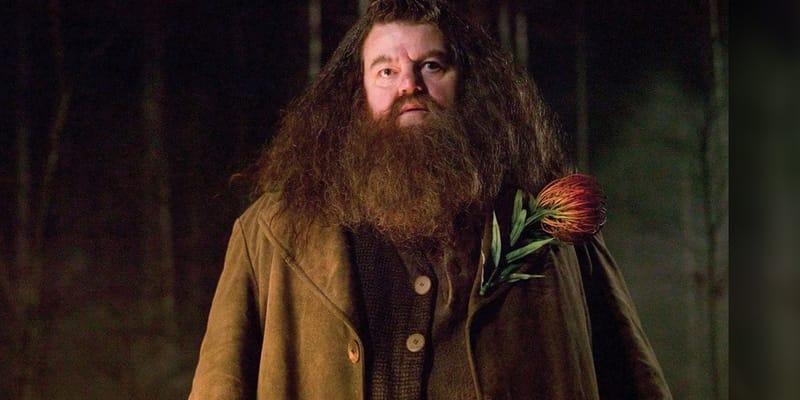 Robbie Coltrane, Hagrid From 'Harry Potter', Dies At 72 | Hypebeast