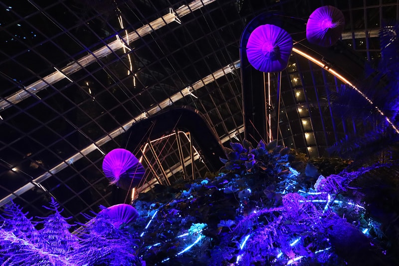 'Avatar': The Experience at Cloud Forest, Gardens by the Bay, Singapore ...