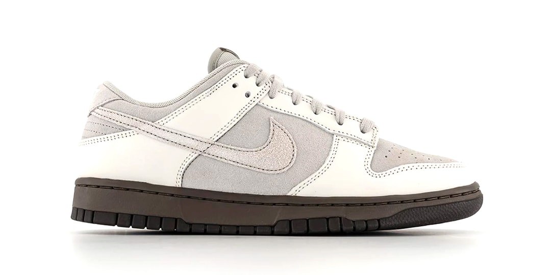 Первый взгляд на кроссовки Nike Dunk Low «Ironstone»