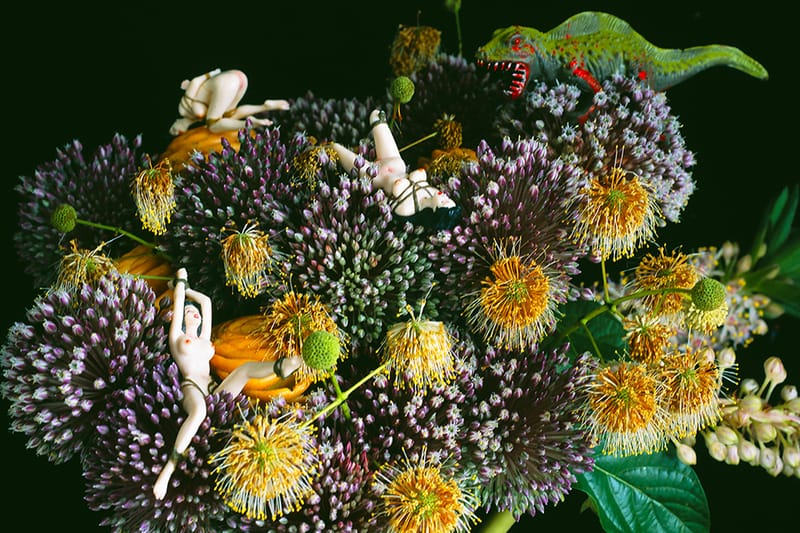 Nobuyoshi Araki 'Monstrous Paradise' Exhibition | Hypebeast