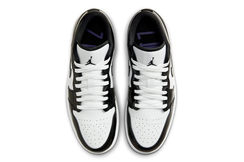 Jordan 11 concord with on sale suit