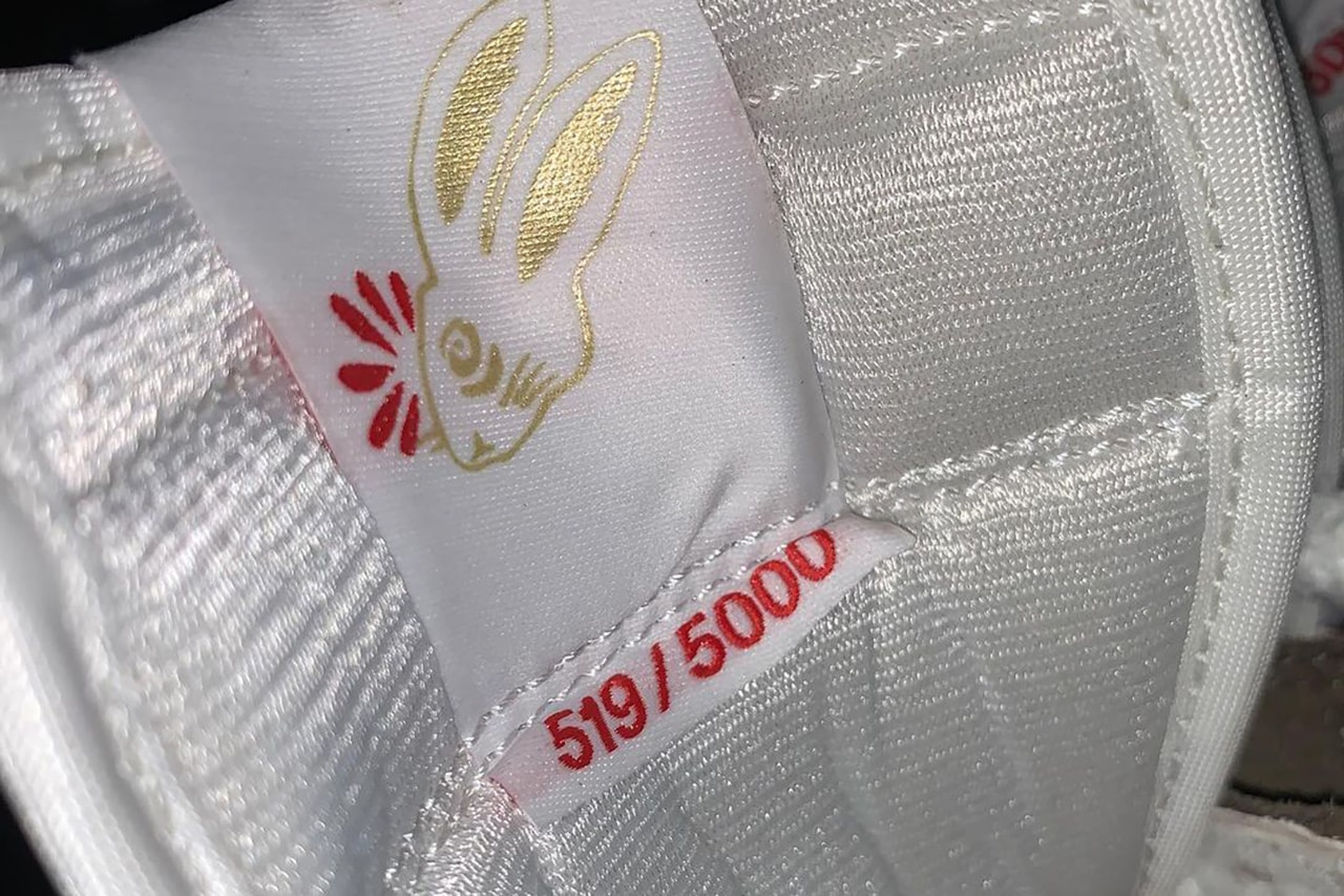 jordan year of the rabbit