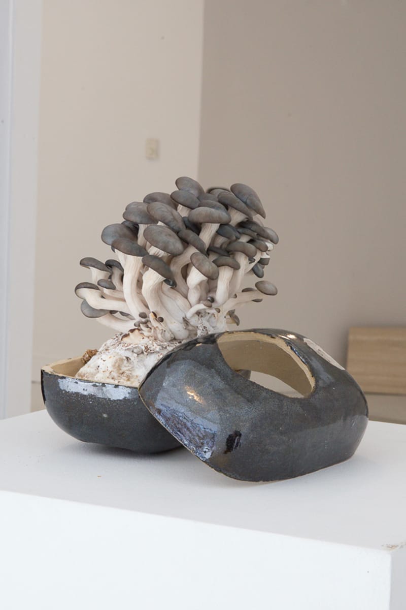 EDEN Power Corp x MYCOAUDIO Mycelium Mushroom Speakers