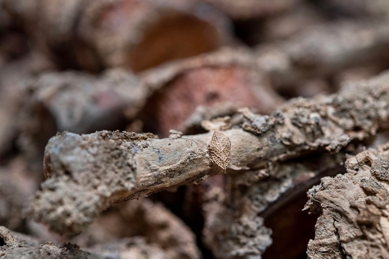 Archaeology intelligence overview