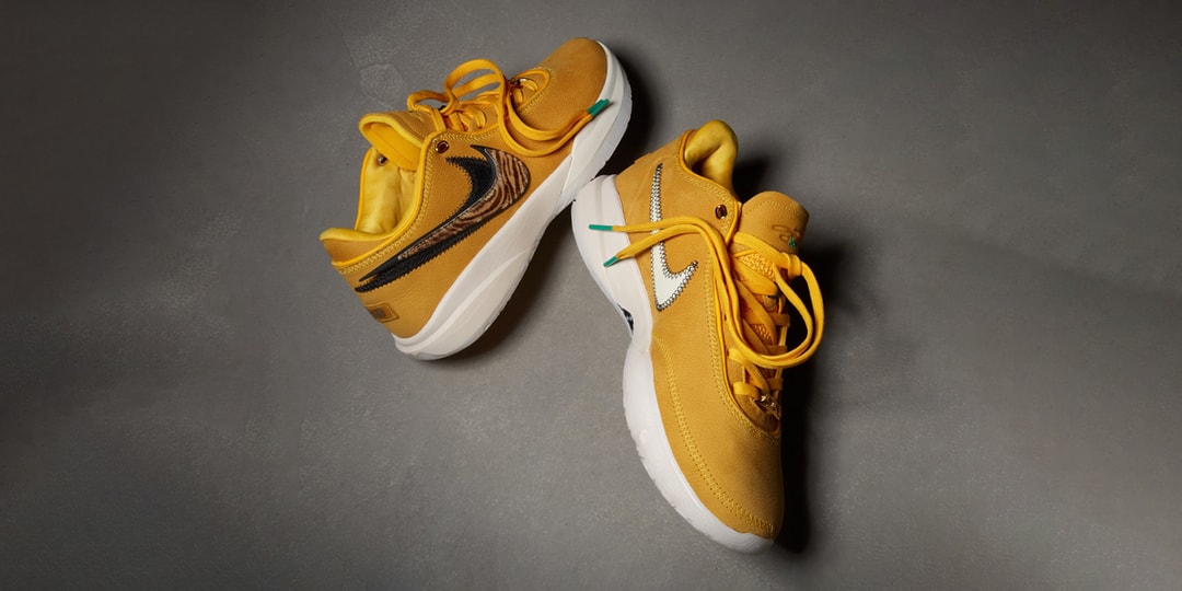 Представлены кроссовки Nike LeBron 20 «Art Basel»