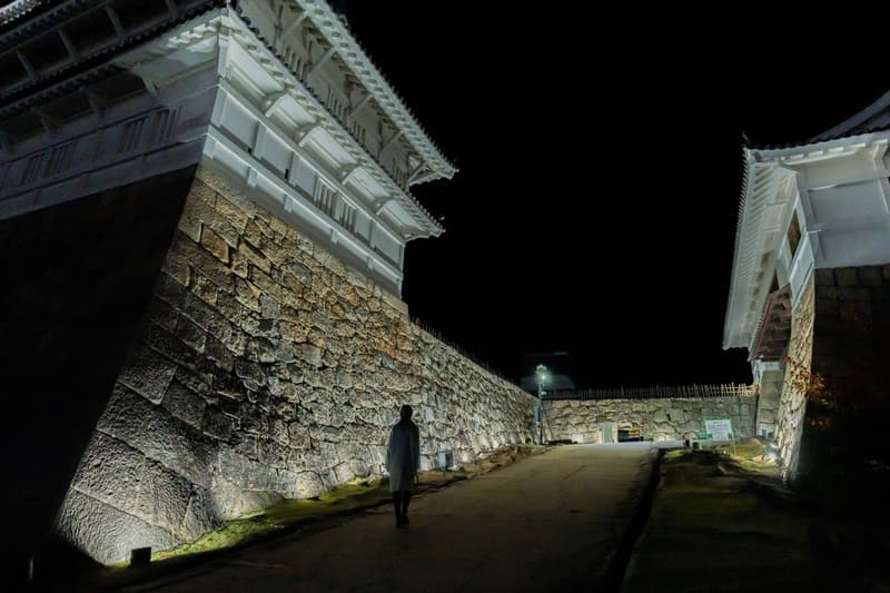 teamLab Digitized Fukuyama Castle Exhibition | Hypebeast