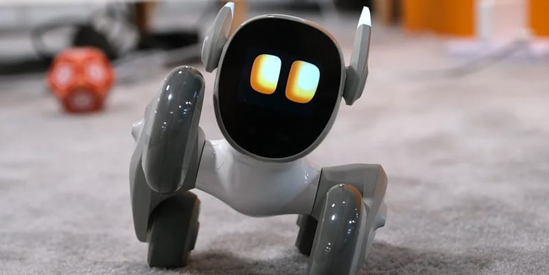 Loona Petbot CES 2023 Unveil | Hypebeast
