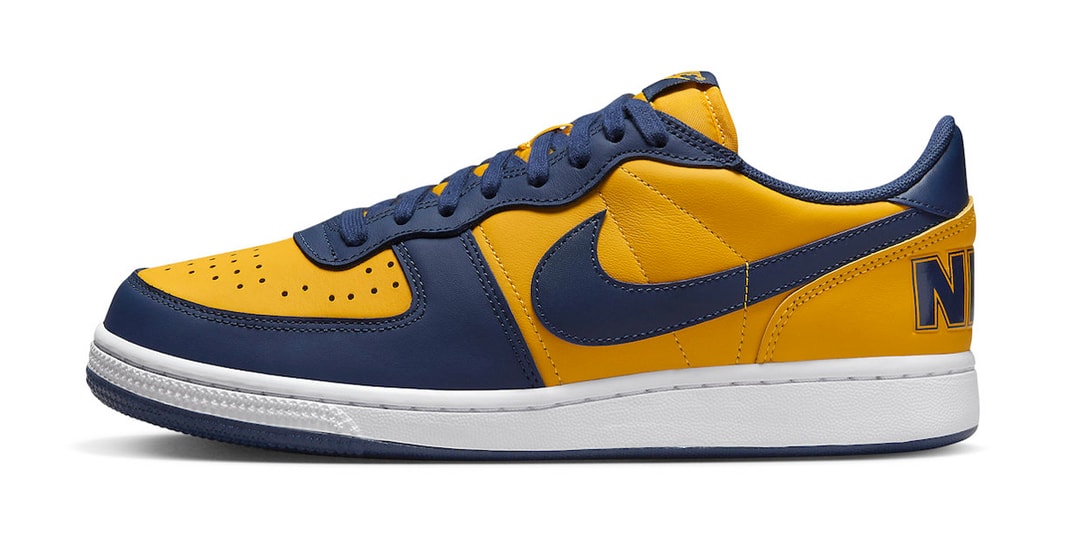 Официальный взгляд на Nike Terminator Low «Мичиган»